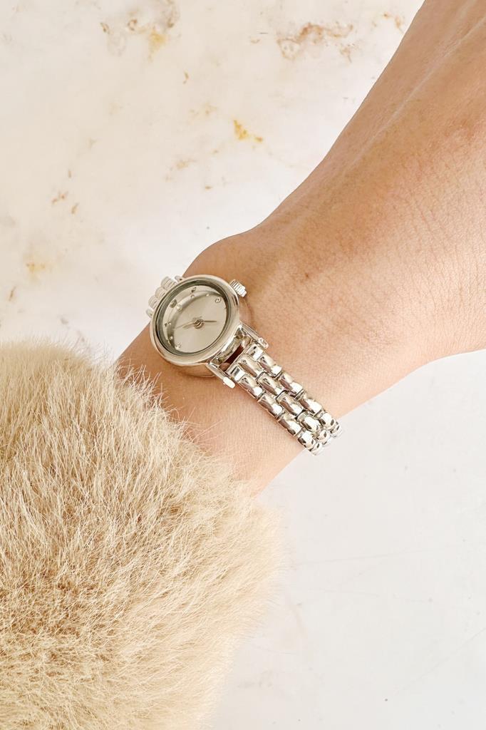 Selene Taşlı Kadran Gri Kadın Kol Saati